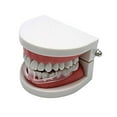 thumbnail image 2 of Protectores Bucales yeacher para Rechinar los Dientes Protector Dental Nocturno Bruxismo, 2 of 5