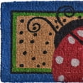 thumbnail image 4 of HomeRoots 555487 18 x 30 in. Blue & Brown Coir Ladybug Outdoor Door Mat, 4 of 5