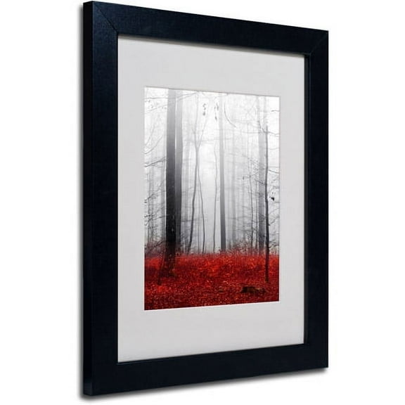 Trademark Fine Art "Little Red Carpet" Canvas Art by Philippe Sainte-Laudy, Black Frame