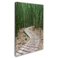 thumbnail image 3 of Trademark Fine Art 'Hiking Through the Bamboo Forest' Canvas Art by Pierre Leclerc, 3 of 4