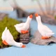 thumbnail image 5 of 3 figuras de ganso de Pascua en miniatura para decoración del hogar, tres oso de fresa Electrónica, 5 of 5