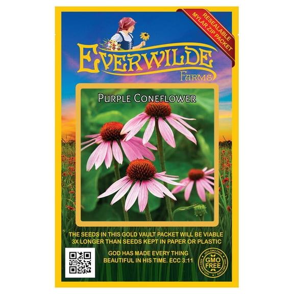 Everwilde Farms 1000 Purple Coneflower Flower Seeds, Native Wildflower