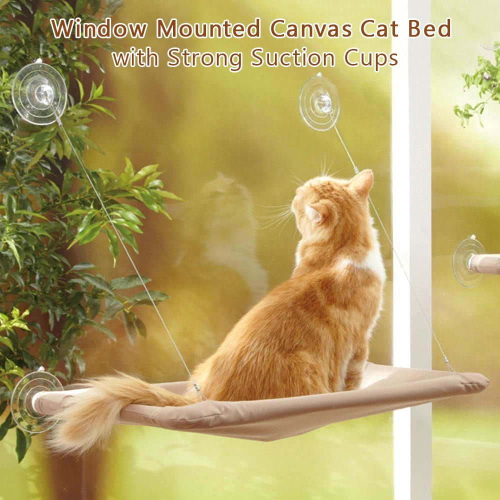 Best cat window bed 2025