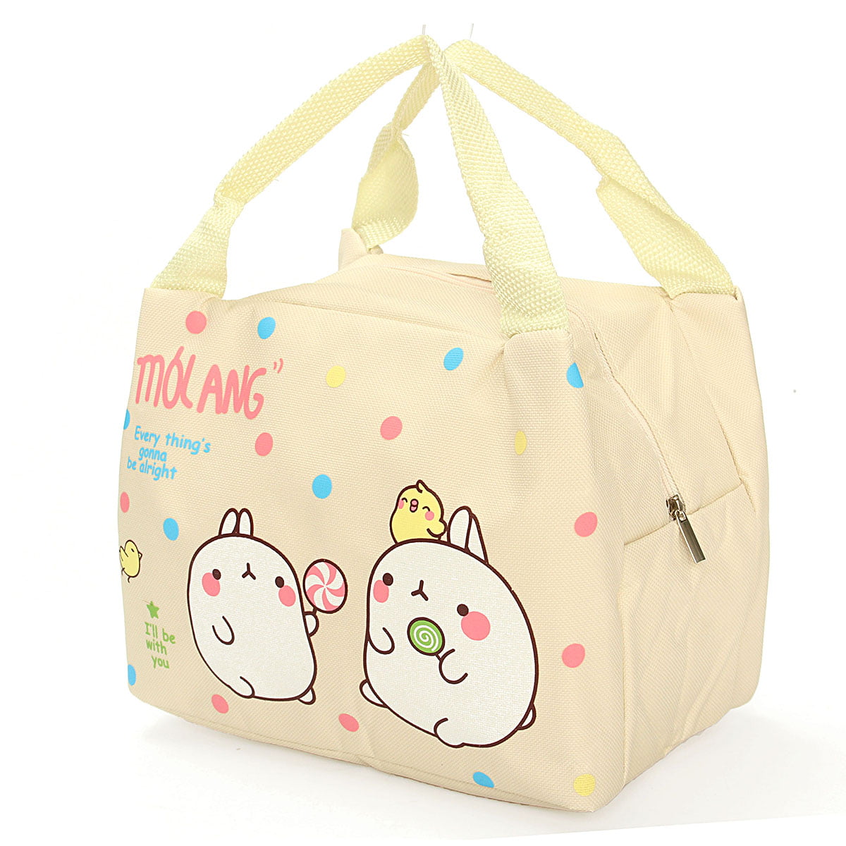 Cute lunch Box Carry Tote for Kids for Girls Portable Lunch Insulated ...