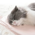 thumbnail image 3 of Tapis Chauffant pour Animaux Tapis d'Hiver Imperméable pour Chiens, 3 of 8