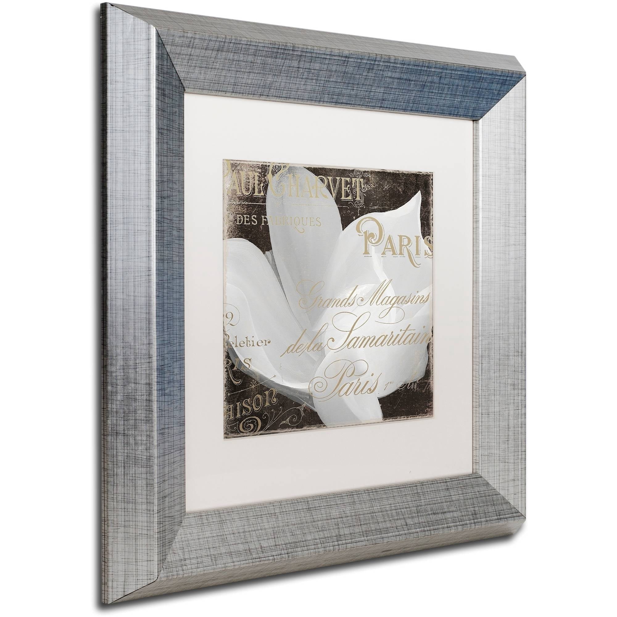 Trademark Fine Art "Fleurs Blanc II" Canvas Art by Color Bakery White Matte, Silver Frame
