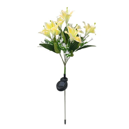 

Garden Lamps Solar Lily//Orchid Lamp Outdoor Garden Patio Lamp ABS for Indoor Or Outdoor Decoration Beautiful Suitable for Outdoor People for Home & Garden Hot Pink One Size