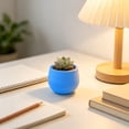 thumbnail image 6 of BiFandian Mini Plastic Pot, Ribbed Small Round Flower Planter Colorful Nursery Container, Cactus Herb Desktop Bonsai Decor, 6 Color Options for Shelf, Windowsill, 6 of 7
