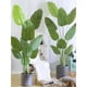 thumbnail image 3 of Planta artificial de simulación de lujo ligera en maceta, decoración for interiores, salas de estar, decoración grande, paisaje, árbol falso, 3 of 5