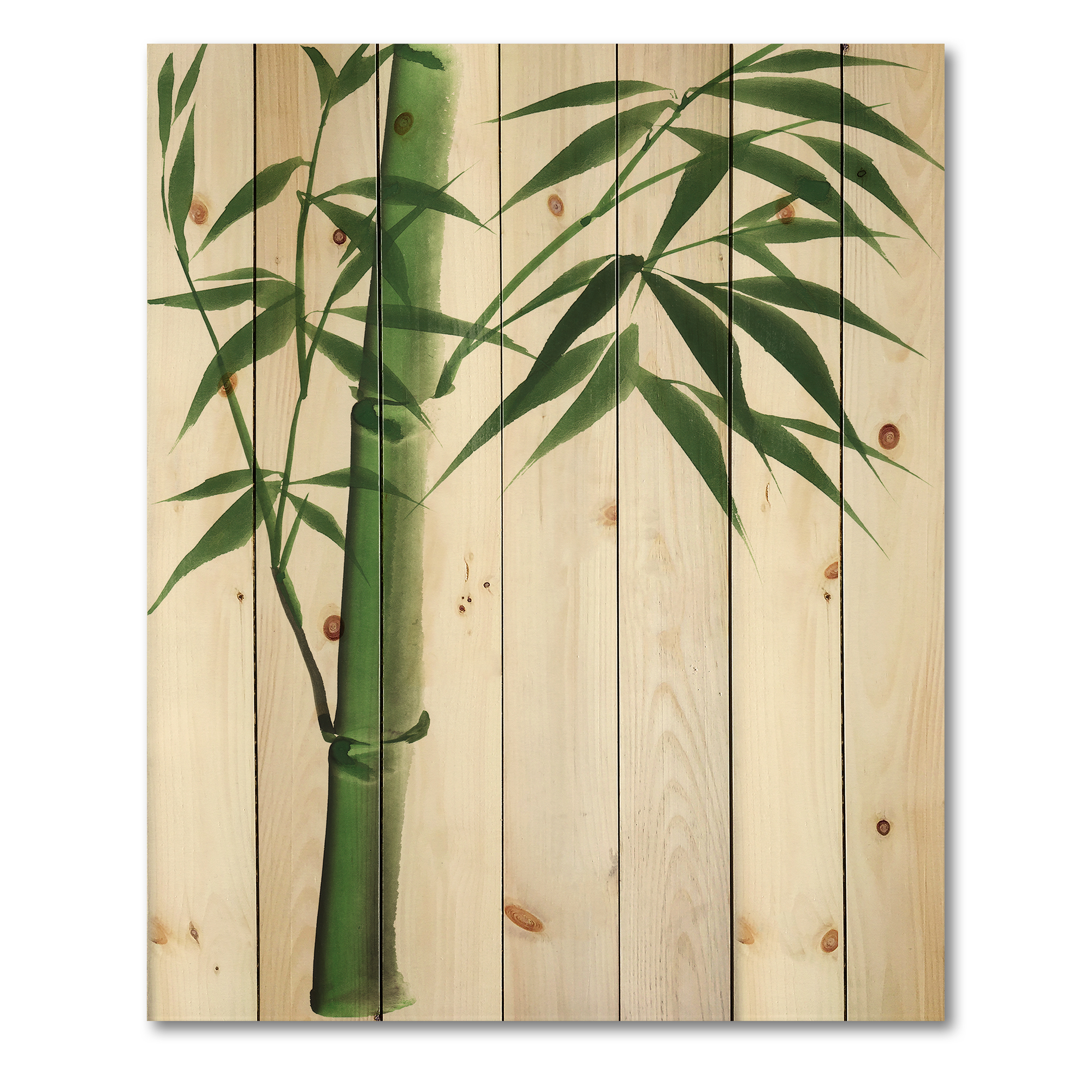 Designart 'Detail Of Dark Green Bamboo On White III' Traditional Print on Natural Pine Wood