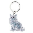 thumbnail image 1 of Colgante para gatos, caja para recoger pelo, acrílico transparente, organizador conmemorativo para mascotas, llavero con gancho para colgar, para recuerdos, 1 of 5