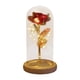 thumbnail image 3 of Eternal Flowers Flower Decor Tabletop Home En Cúpula Redonda Con Luces De Hadas Rojo Fernando  Flores eternas, 3 of 8