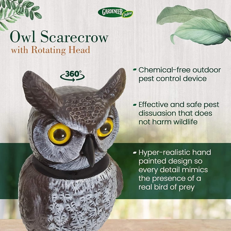 Dalen, Gardeneer RHO-4 Rotating-Head Owl, 18