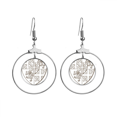 thumbnail image 1 of El arte barroco escudo León ilustración patter Los pendientes cuelgan del aro de la joyería del círculo de la gota Unbranded M, 1 of 3