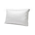 thumbnail image 1 of Lightweight Feather Pillow Queen, 1 of 2