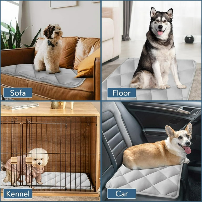 haokoufenglidian Dog Crate Pad 2 Pack 36 inch x 23 inch Soft Dog Crate Mat with Anti Slip Bottom Machine Washable Kennel Pad Crate Mats for Dog Cages Dog Bed for