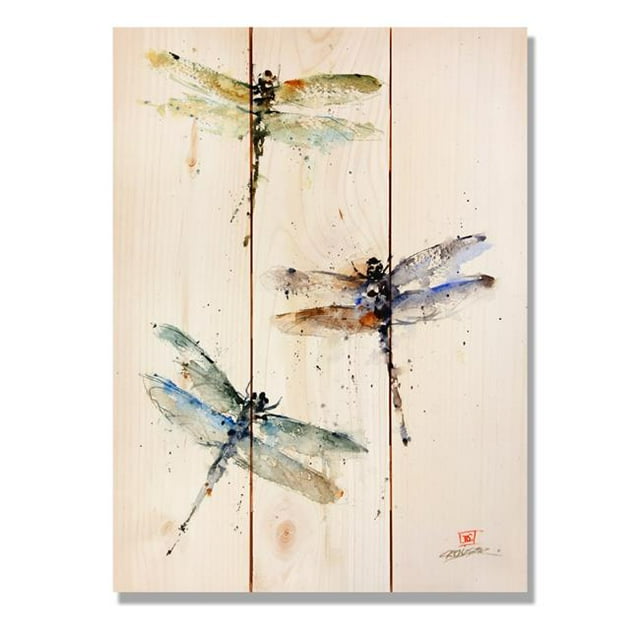 Day Dream DCTD1115 11 x 15 in. Three Dragonflies Wall Art