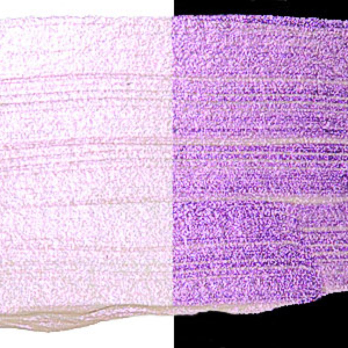 Golden Heavy Body Acrylic Paint, 2 Ounce, Interference Violet Fine