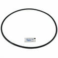 thumbnail image 2 of Pentair 27001-0061S Body O-Ring for Tank Replacement for select Sta-Rite Pool and Spa Filters, 2 of 3