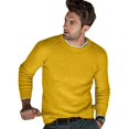 thumbnail image 2 of Suéter Otoño/Invierno Suéter Casual Europeo y Americano Suéter de Camisa de Punto para Hombre Suéter para hombre, 2 of 5