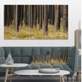 thumbnail image 1 of Dark Fall Forest with Green Grass - Modern Forest Canvas Art, 1 of 3