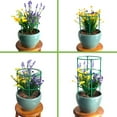 thumbnail image 5 of Tomato Cages For Garden Adjustable Micro Plant Support Cage Mini Plant Support Stakes For Vine Vegetables Fruits & Flower, 5 of 5