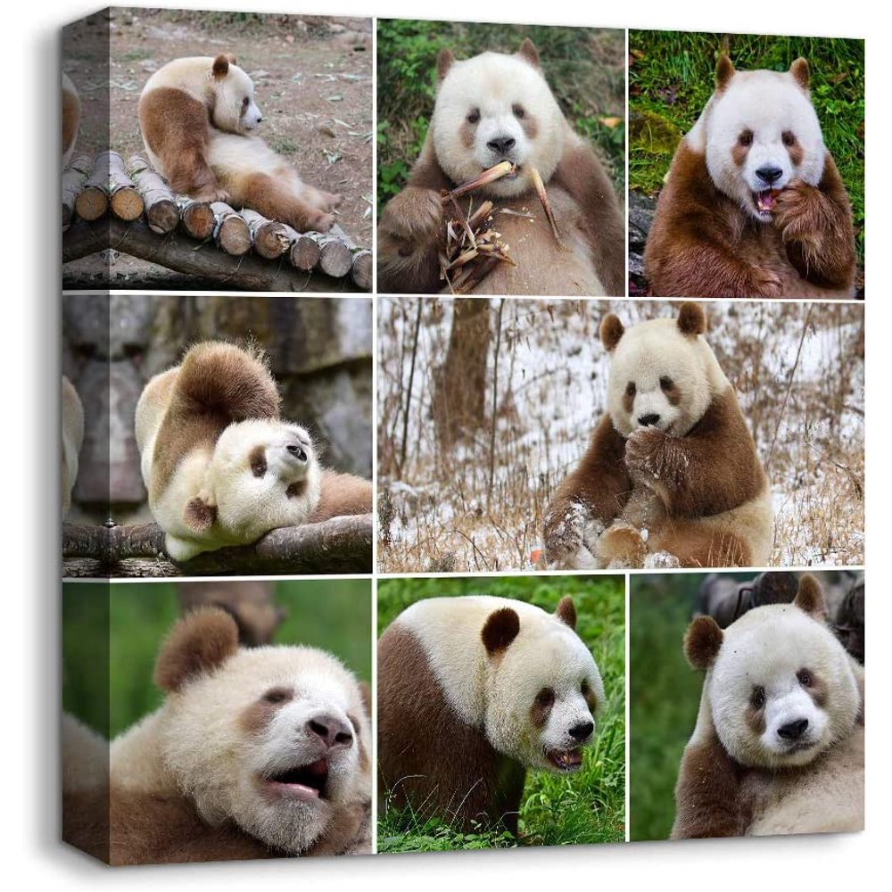 wall26 Canvas Wall Art Animals Plants Collage Ideas Home Wall