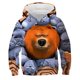 thumbnail image 3 of Nueva ropa para niños, sudadera con capucha con estampado de dibujos animados de Grizzy y los Lemmings, sudaderas con capucha de otoño para niños y niñas, jersey de manga larga, tops casuales con capu, 3 of 5