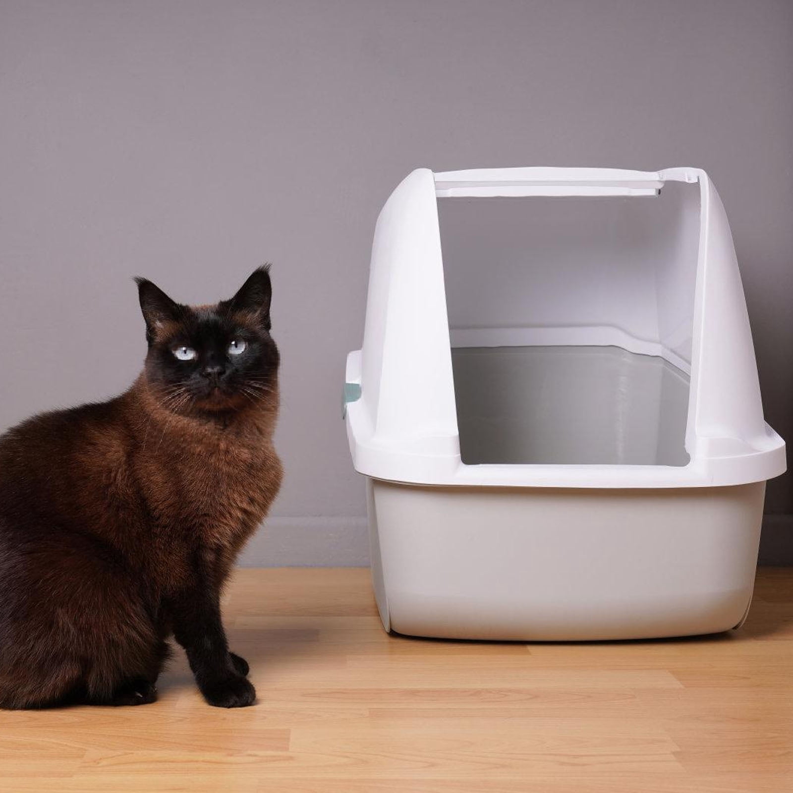 Selfcleaning Litter Box Liner Tray for Multiple Models 3 Guard Against Damage Dustproof Cats Litter Pan Accessory