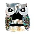 thumbnail image 1 of asddcavvf Fashion Abalone Material Owl Retro Brooch Versatile Animal Corsage Matching, 1 of 8