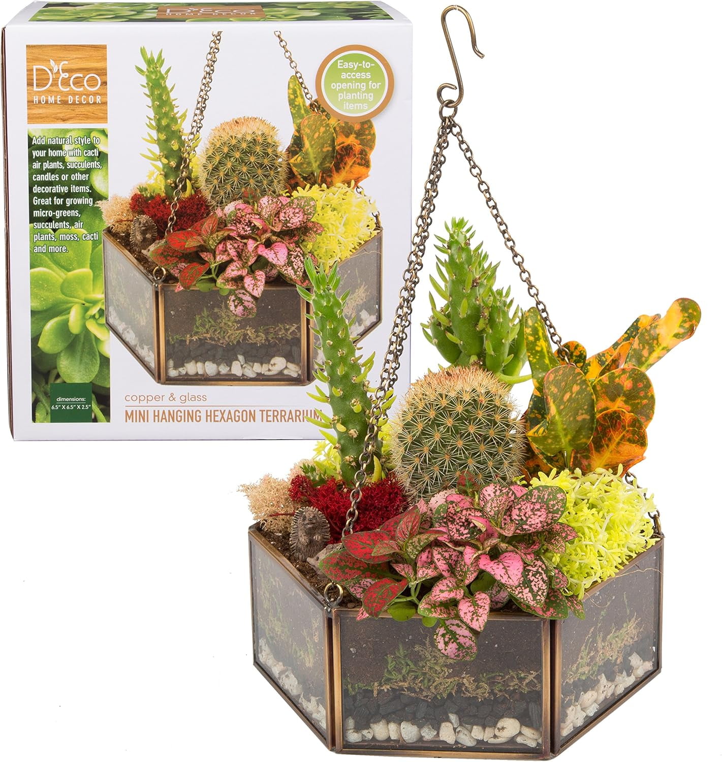 D'Eco Glass Geometric DIY Terrarium, Succulent & Air Plant- Hanging Mini Hexagon Shaped for Indoor Gardening Decor- Create Your own Flower, Fern, Moss Centerpiece