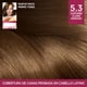 thumbnail image 5 of Tinte para cabello L'Oréal Excellence Cafés Parisinos 5.3 macchiato castaño claro dorado, 5 of 9