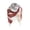 Hot Pink, variant on Women's Fall Winter Scarves Oversized Large Plaid Blanket Checked Tassel Colorful Cozy Accessory for Women Daily Matching