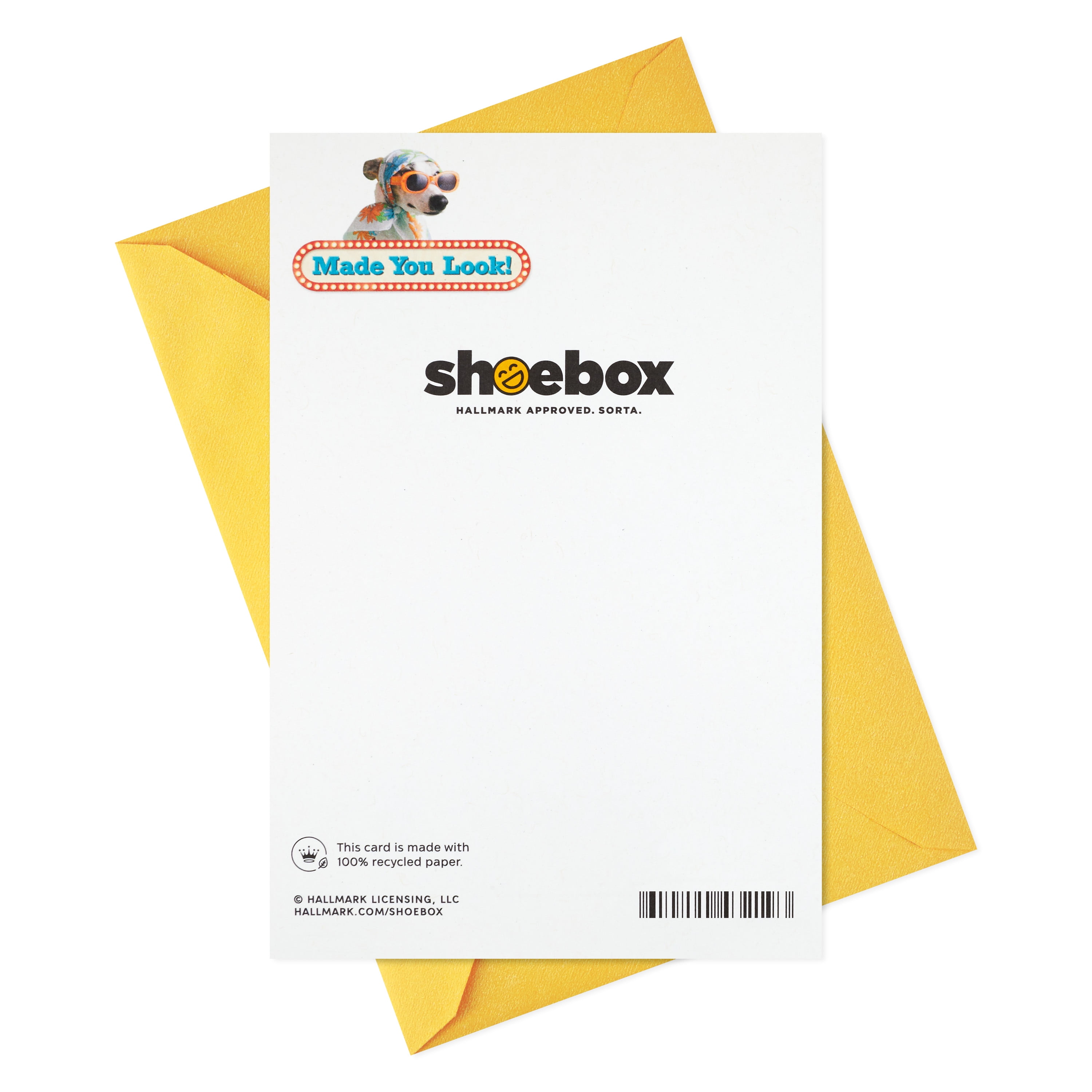 Hallmark Shoebox Funny Birthday Greeting Card for Her (Two Dogs in a Convertible)