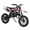 Black, variant on Tereitr 49cc 2-Stroke Gas Powered Kids Dirt Bike, Mini Motorcycle with Front & Rear Disc Brakes, Pull Start, Off-Road Tires, 47.2" L x 27.6" H