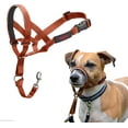 thumbnail image 1 of HALTI Headcollar Burnt Orange Size 1, 1 of 5