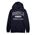 thumbnail image 1 of Hughesville Pennsylvania Classic Established Premium Cotton Hoodie, 1 of 1