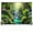 SBJ-005, variant on 7x5ft Rainforest Photography Backdrop Tropical Jungle Scenery Waterfall Background Summer Event School Classroom Party Decorations Photo Props