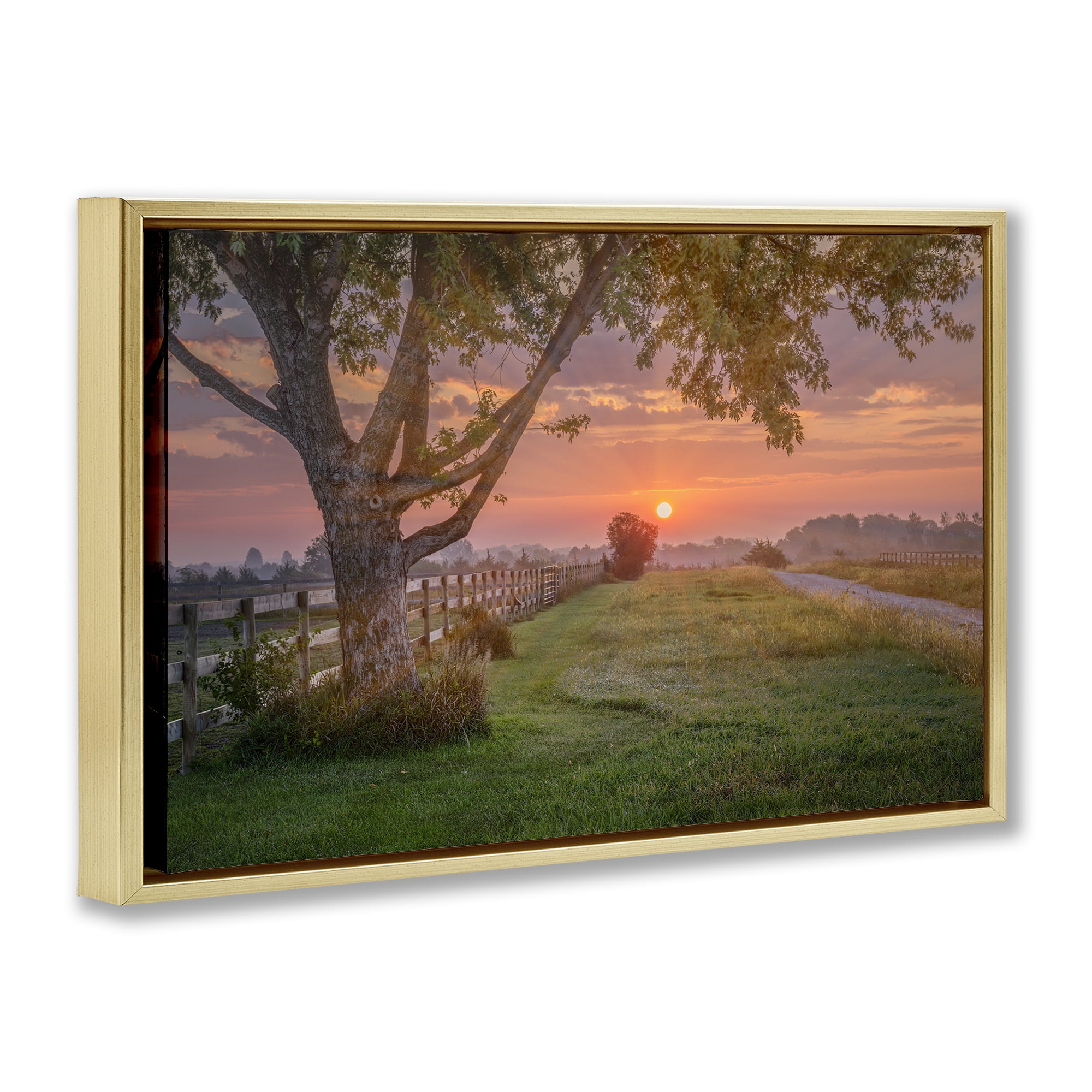 Stupell Industries Bold Sunrise in Countryside Landscape & Nature Photography Gold Floater Framed Canvas Art Print Wall Art, 25 x 17