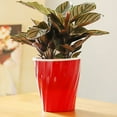 thumbnail image 3 of Wavy Design Flower Plant Pot Automatic Absorbing Water Resin Tabletop Planter, 3 of 8