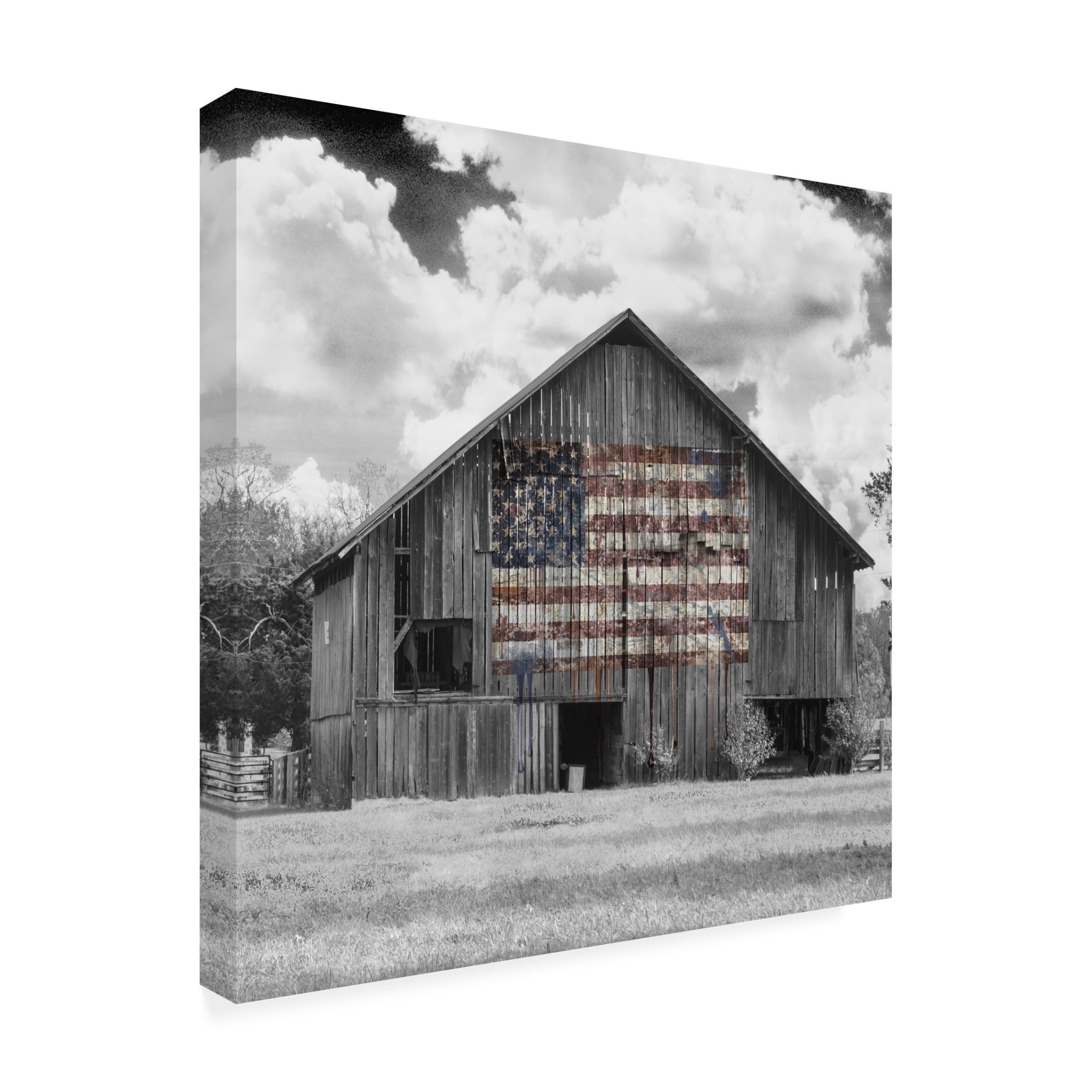 Canvas Wall Art - Decent Exposures 'USA' Wall Art for Living Room, Bedroom, or Office Décor by Trademark Fine Art - 24 x 24 Inches