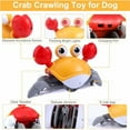 thumbnail image 4 of Escaping Crab Dog Toy with Obstacle Avoidance Sensor,Dancing Crab Toys with Music Sounds & Lights for Dogs Cats Pets,Crawl Toys Orange, 4 of 4