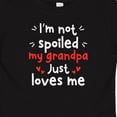 thumbnail image 4 of Inktastic I'm Not Spoiled My Grandpa Just Loves Me Boys or Girls Baby T-Shirt, 4 of 5