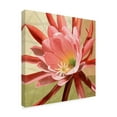 thumbnail image 2 of Trademark Fine Art 'Desert Bloom Flower I' Canvas Art by Jason Higby, 2 of 4