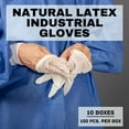 thumbnail image 3 of Shield Industrial Latex Powdered Gloves X-Large 4.5 Mil Disposable 1000 Gloves for Lab Research, Painting, Prep Cooking, 3 of 6