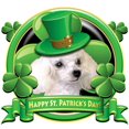 thumbnail image 3 of CafePress - Happy St. Patrick's Day Poodl Women's Dark Pajamas - Women's Short Sleeve Print T-Shirt and Pants Dark Cotton Pajama Set, 3 of 7