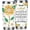 Aunt, variant on Goddaughter Gift from Godmother Godfather -20 oz Goddaughter Coffee Cup Vacuum Insulated Stainless Steel,Ideal Goddaughter Birthday Gift (Goddaughter)