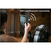 Concept2 RowErg Model D Indoor Rowing Machine - PM5 Monitor, Device Holder, Adjustable Air Resistance, Easy Storage with Black Sweat Towel
