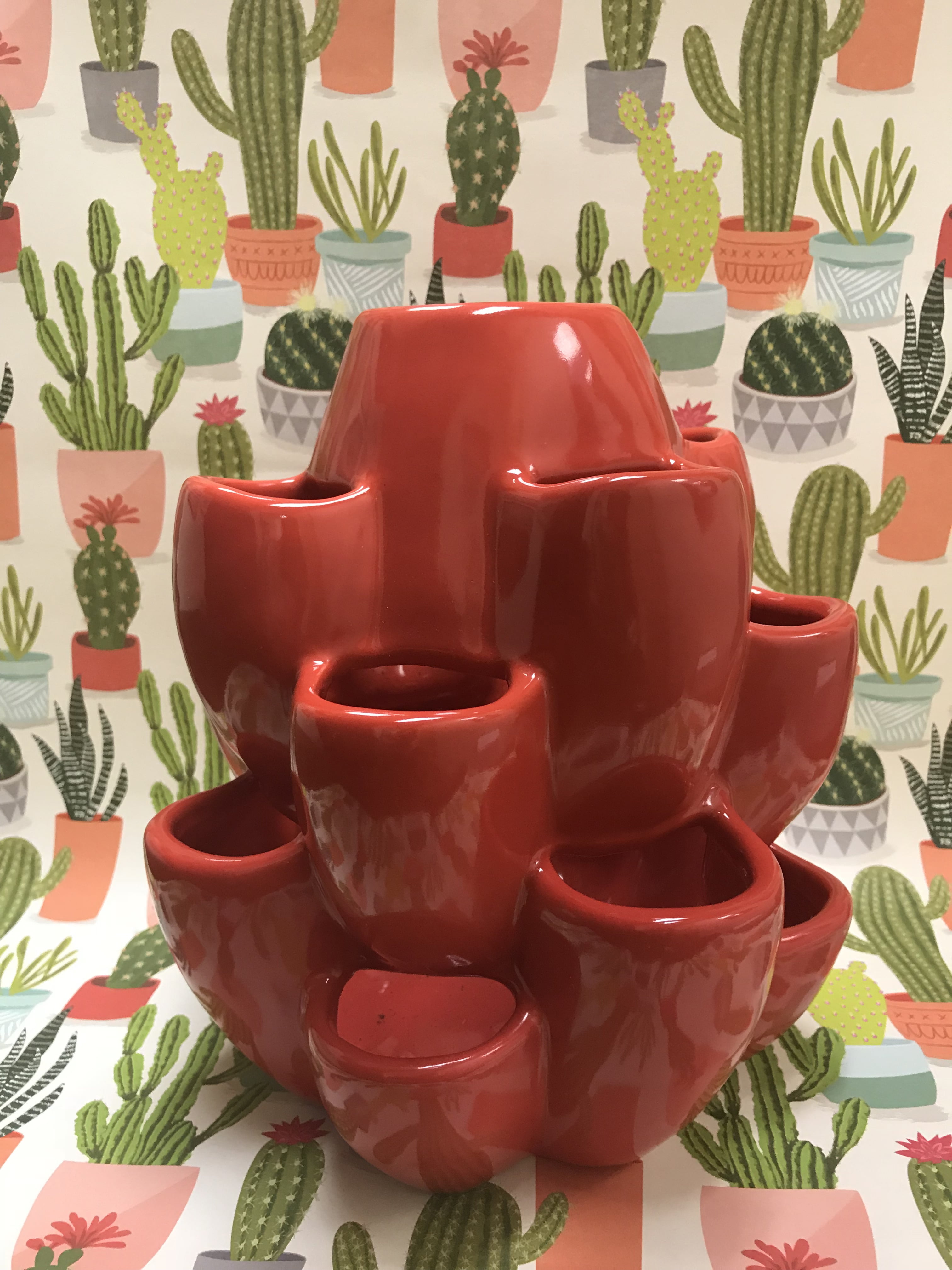 Exaco 10 in. Ceramic Cacti Pot
