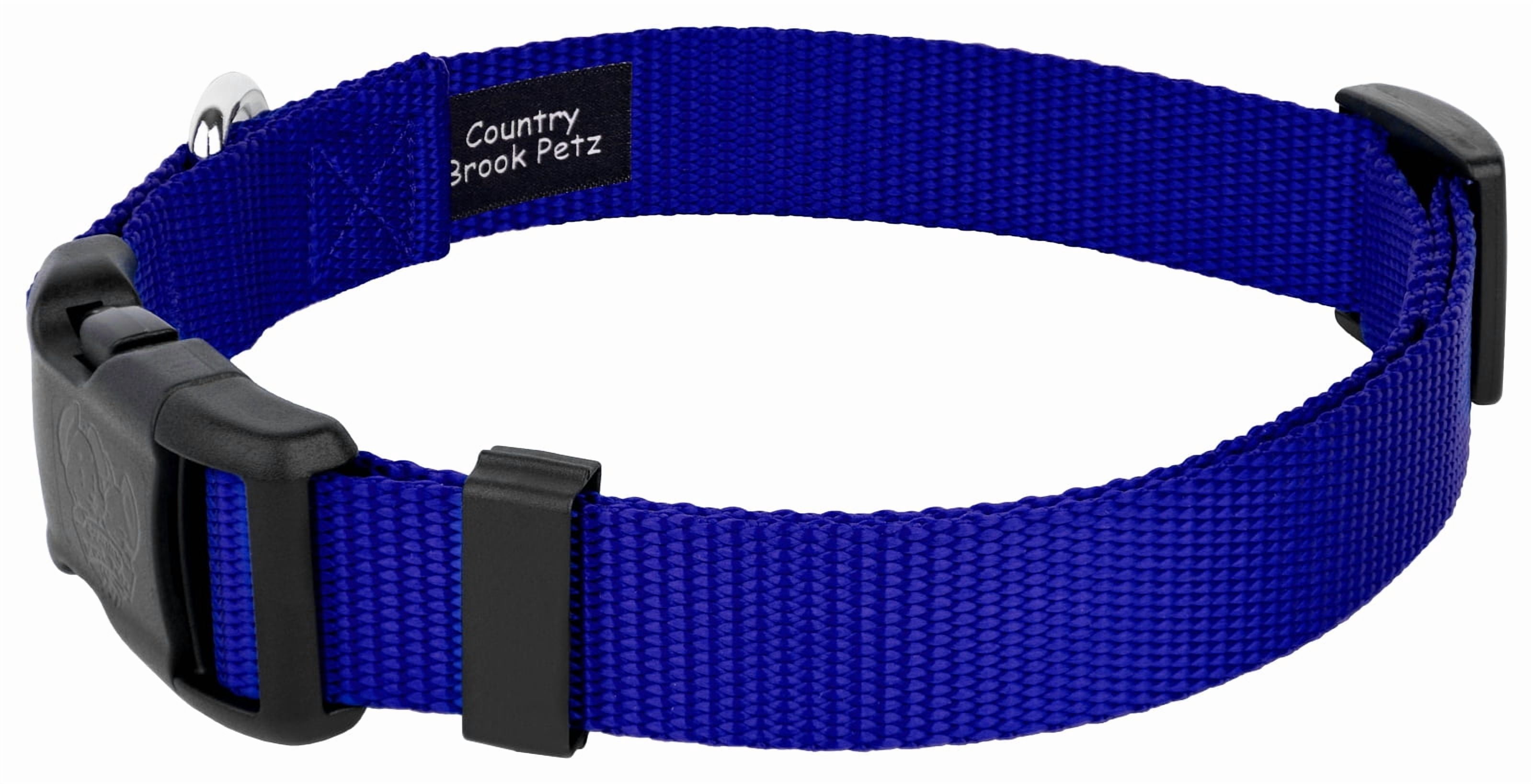 Country Brook Petz® Bright Royal Blue Everyday Nylon Dog Collar and Leash, Medium